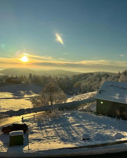 Lieblingsquartier Sankt Andreasberg Studio 9 Екстер'єр фото