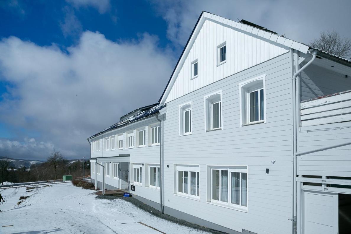 Lieblingsquartier Sankt Andreasberg Studio 9 Екстер'єр фото